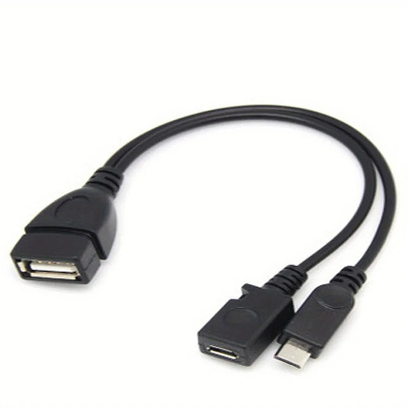 2-in-1 OTG USB to Micro USB Sp – Fire Tablet Accessories Bewertung und Preis