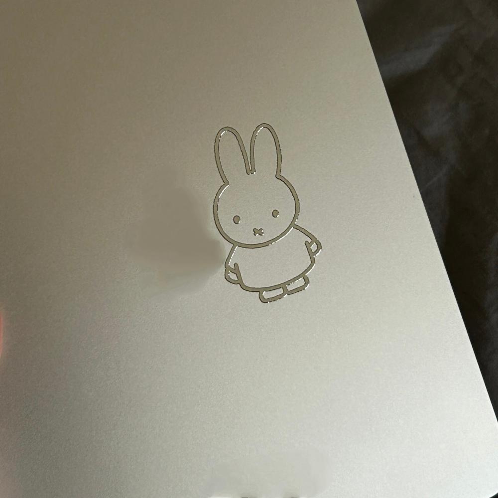 Miffy Rabbit  metal stickers h – Fire Tablet Accessories Bewertung und Preis